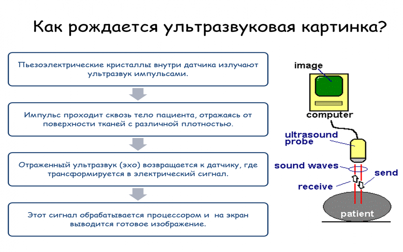 Диагностический ультразвук в специальности, кто владеет?